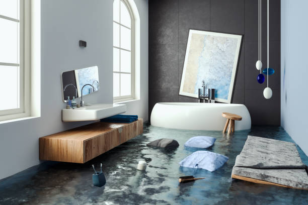 Best 24/7 water damage repair  in Ingalls Park, IL