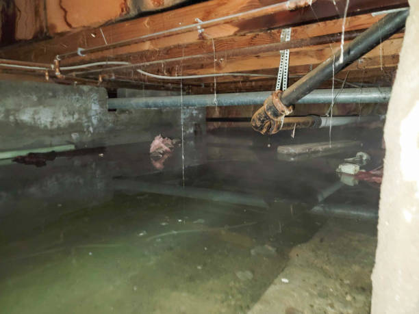 Best 24-hour water damage restoration  in Ingalls Park, IL