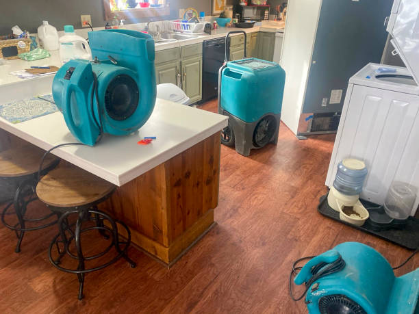Best 24-hour water damage restoration  in Ingalls Park, IL