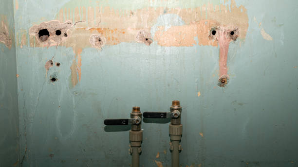 Best Water damage restoration experts  in Ingalls Park, IL