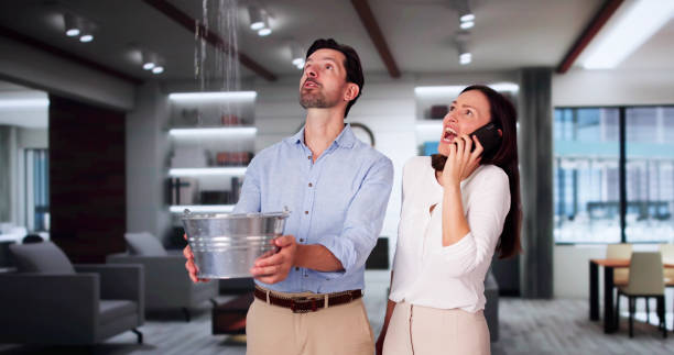 Best Emergency water extraction  in Ingalls Park, IL